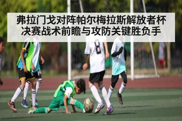 弗拉门戈对阵帕尔梅拉斯解放者杯决赛战术前瞻与攻防关键胜负手 | iOS APP